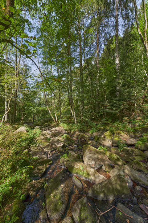 Gemeinde Waldkirchen Landkreis Freyung-Grafenau Saußbachklamm (Dirschl Johann) Deutschland FRG